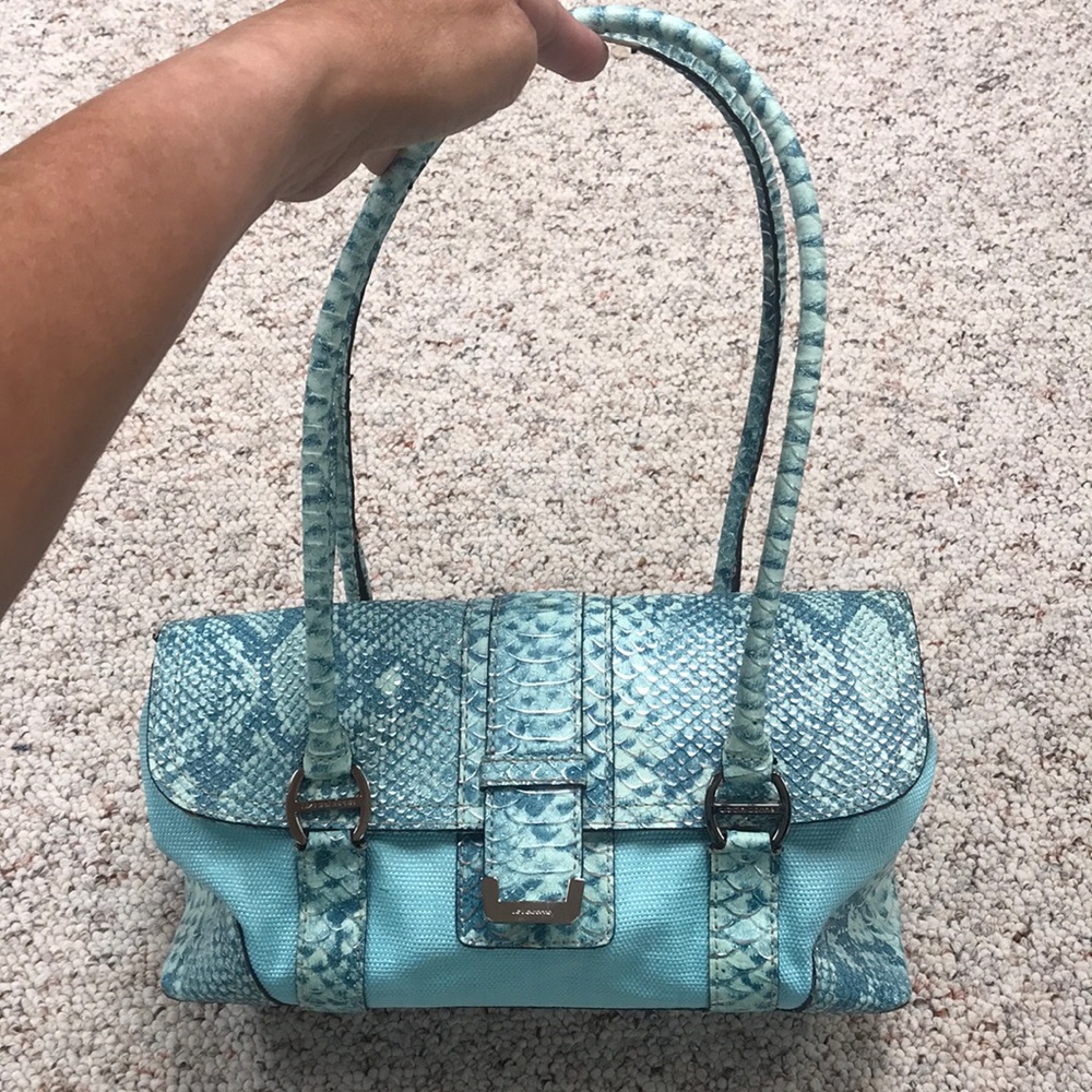 Cute Aqua and faux python purse